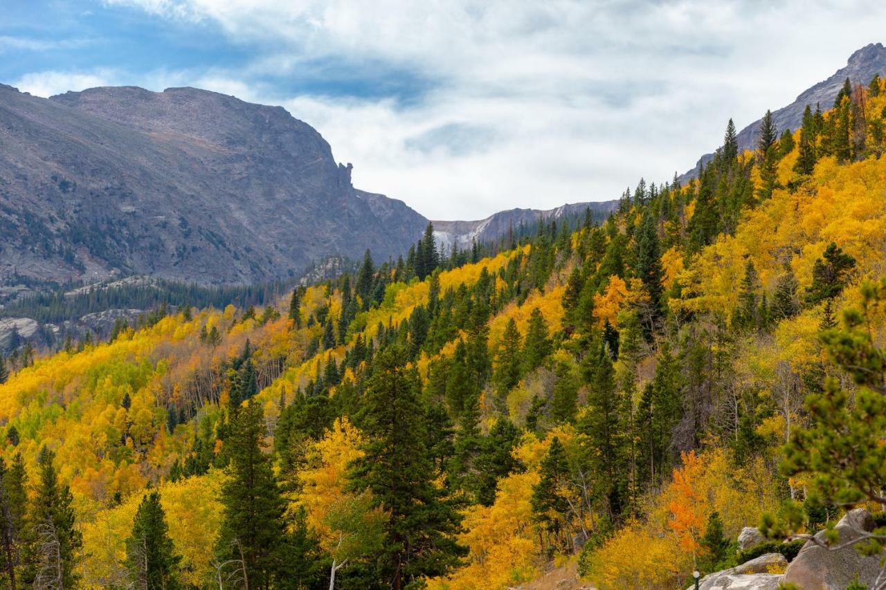 Вилла Great Outdoors - Permit #3428 Эстес Парк Экстерьер фото